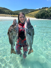 Load image into Gallery viewer, 2025 Aimrite Vendetta Rollergun