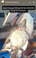 Load image into Gallery viewer, Aimrite Slip Tip
