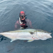 Load image into Gallery viewer, 2025 Aimrite Vendetta Rollergun
