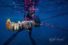 Load image into Gallery viewer, Aimrite Gift Cards
