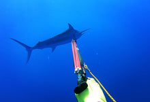 Load image into Gallery viewer, 2025 Aimrite Vendetta Double Rollergun
