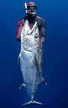 Load image into Gallery viewer, 2025 Aimrite Vendetta Double Rollergun
